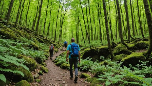 Les meilleures randonnées à faire autour d'Ambazac pour les amateurs de nature